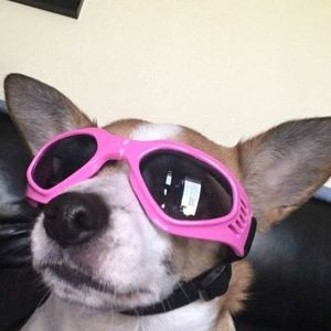 Meet your Posher, Robert